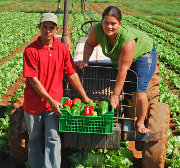 EMPREGO RURAL: O emprego na agricultura na era da tecnologia